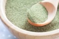 Microalgae’s major opportunity for alternative protein product development – Sophie’s Kitchen