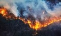 Australian bushfires: Food safety and produce shortages additional concerns as blazes rage