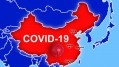 COVID-19 in China: Food supply and lax regulations cause for concern as government touts ‘return to normalcy’