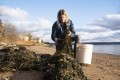 Seaweed saviour? How ramping up production could be a food security and sustainability boon