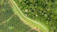 Show us the criteria: Malaysian palm oil sector calls for ‘more transparency’ from EU on Deforestation Regulation amidst high-risk listing debate