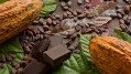 Who will pay? APAC cocoa industry says EU Deforestation Regulation could create ‘two-tier market’