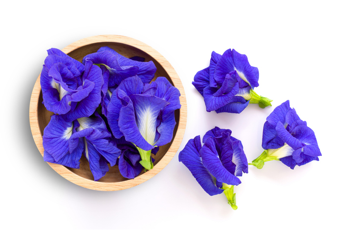 Butterfly-pea-flower-GettyImages-Everything-Better-to-do-everything-you-love