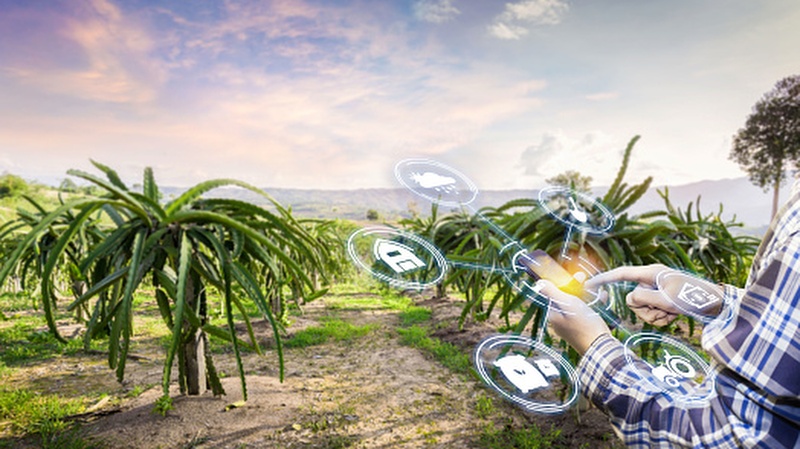Why AI is crucial to improve the APAC agrifood sector – but won’t completely replace humans webfi